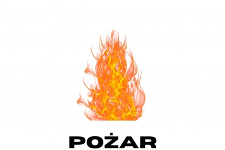 zdjecie